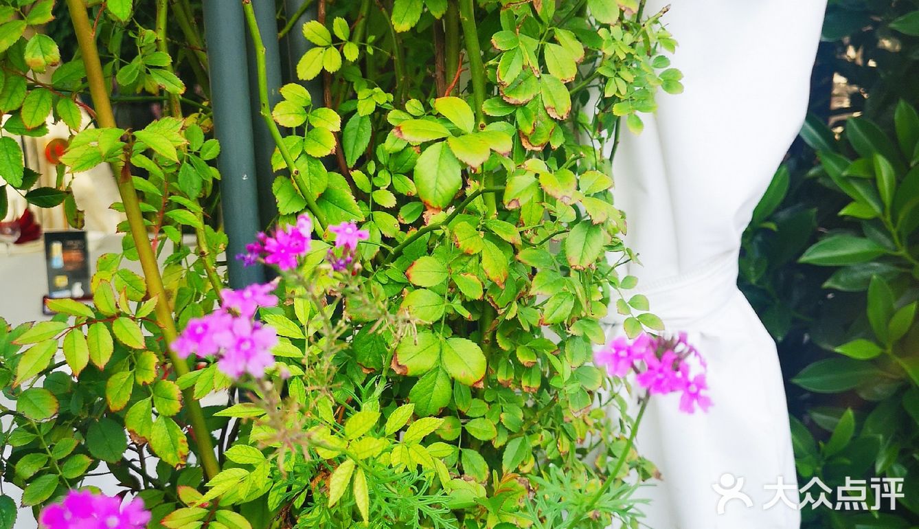 可在点评里选优惠套餐：2