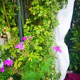 可在点评里选优惠套餐：2