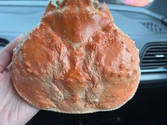 -荣一代目OMAKASE板前料理