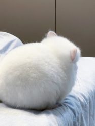 -Oasis Beauty水磨坊科技美肤中心