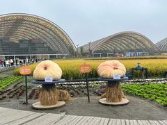 -中国天府农业博览园