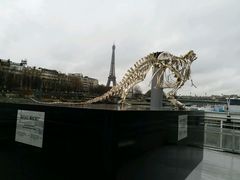 -Bateaux Mouches塞纳河游船