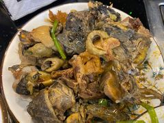 -草墩罗非鱼庄•野生菌•腊排骨(七星街上段店)