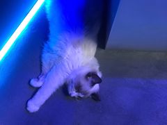 -零纪元VR体验馆·桌游(黄浦店)