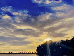 -宝安西湾红树林湿地公园