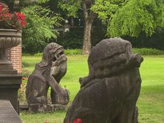 -上海瑞金洲际酒店
