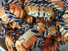 -渔娘蟹庄(阳澄湖莲花岛店)