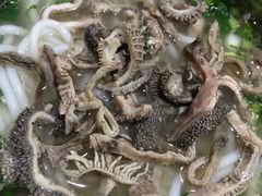 -攀枝花·任德琼·盐边羊肉米线
