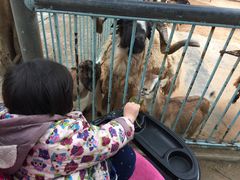 -广东茂名森林公园