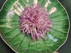 -荷风细雨·中国茶宴(碧云店)