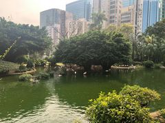 -九龙公园