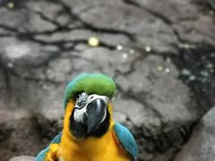 -福州罗源湾海洋世界旅游区