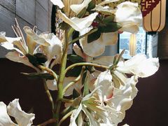 -金枝玉叶上海人家食府(三里河店)