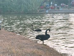 -琅岐红光湖公园
