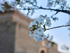 -相门城墙文化休闲景区