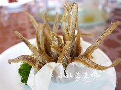 -通安客栈中餐厅·何家小馆