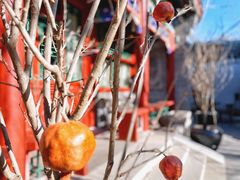 -北京古城老院厉晓麟精致菜