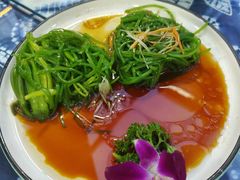 -八木轩·寻味大理白族民俗餐厅(文献路店)