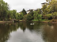 -苏州市银泉山莊大酒店