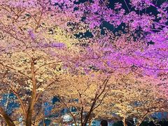 -西北湖绿化广场