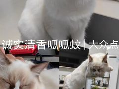 -联合动物医院(光谷诊疗中心)