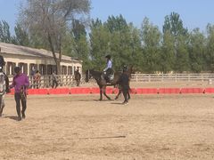 -北京群众马术培训基地