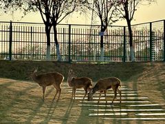 -盈香心动乐园