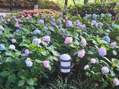 -常州古运河南大街文化旅游区-人民公园