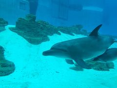 -新加坡海洋生态馆