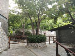 -100蛋泥浆浴