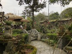 -青城甲(青城山店)