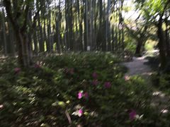 -汇龙潭