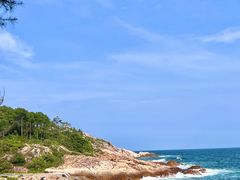 -广东惠东海龟国家级自然保护区