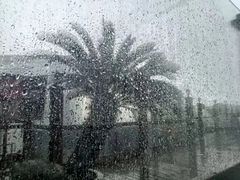 -火舞泰·泰式海鲜火锅餐厅(世纪城店)