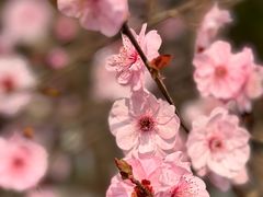 -白塘生态植物园