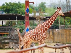 -杭州野生动物世界