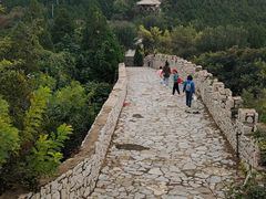 -原山国家森林公园