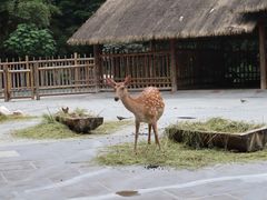 -金沙遗址博物馆