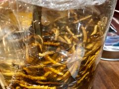 冬虫夏草-江杨农产品批发市场