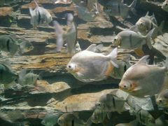 -多彩贵州城极地海洋世界