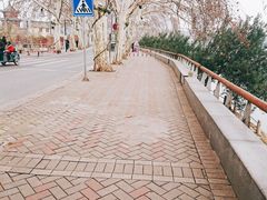 -李公堤