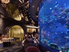 -迪拜帆船酒店海底餐厅