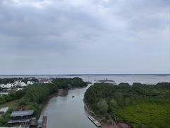 -东寨港红树林旅游区