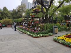-文瀛公园