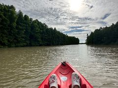 -上海海湾国家森林公园