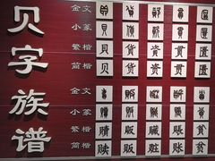-青岛贝壳博物馆