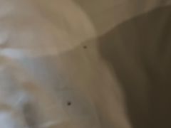 -JOYA湾悦国际酒店(世界之窗店)