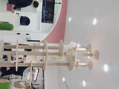 -喵园·猫主题咖啡厅·撸猫·猫咖(国贸店)