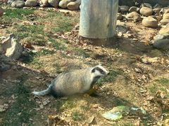 -大连森林动物园