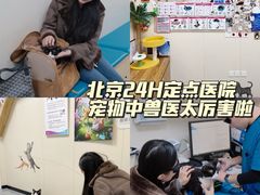 -美联众合爱康动物医院•复杂内科•肿瘤科•牙科•腔镜诊疗中心